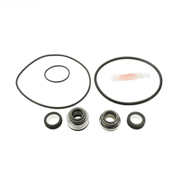 Pump Repair Kit w/gaskets, o-rings, seal - Yardandpool.com
