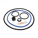 Pump Repair Kit w/gaskets, o-rings, seal - Yardandpool.com