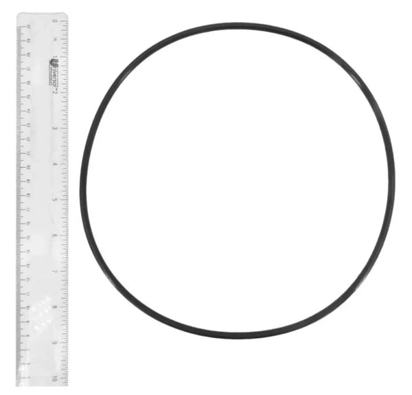 Pump Lid O-Ring