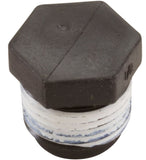 Plug, 1/8" MPT