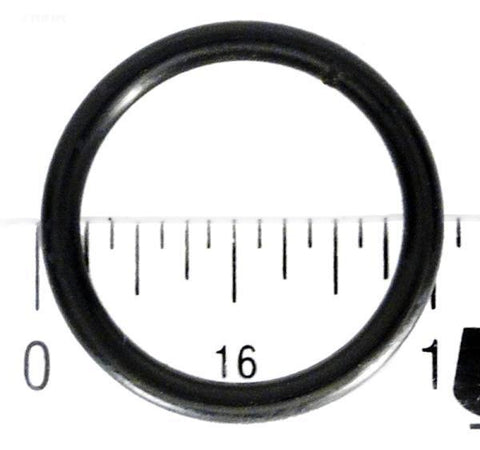 O-Ring, Lateral - Yardandpool.com