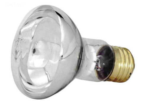 100W 12V Reflector Flood bulb, screw-in - Yardandpool.com