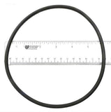 O-Ring, Filter Head - Yardandpool.com