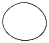 O-Ring, Filter Tank - Yardandpool.com