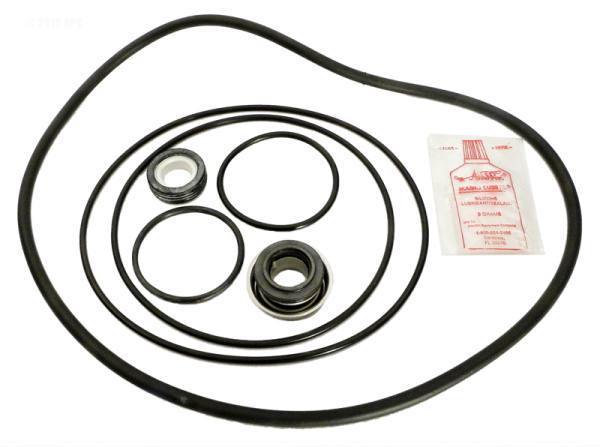 Pump Repair Kit w/Seals, O-Rings pre 1995 - Yardandpool.com