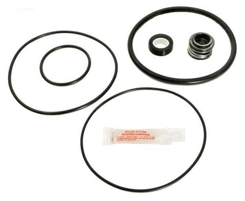 Pump Repair Kit w/Seals, O-Rings - Yardandpool.com