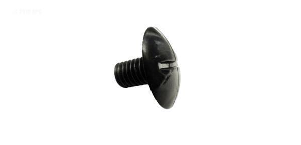 Polaris Wheel Screw, Plastic, Black - Yardandpool.com