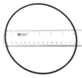 O-Ring, Cover - Yardandpool.com