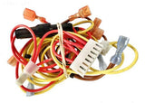 Controller Wire Harness - Yardandpool.com