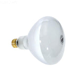 300W 12V Reflector Flood bulb, screw-in - Yardandpool.com