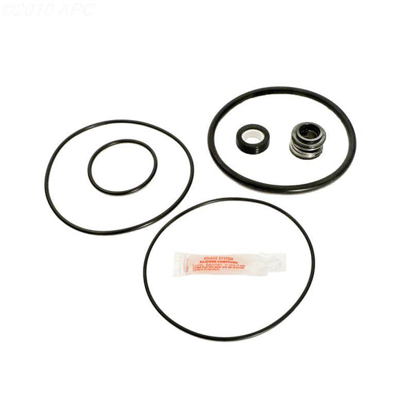 Pump Repair Kit w/Seals, O-Rings - Yardandpool.com