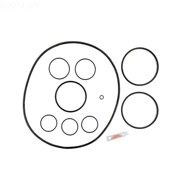 O-Ring Kit. Includes 1 Each #4, 7, 10, Center Cap O-Ring, 2 Each 2" Inlet/Outlet Fitting O-Ring & 3 Each Drain Plug O-Ring. - Yardandpool.com