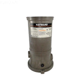 Filter Body, 1-1/2" FIP, C751, C900 - Yardandpool.com