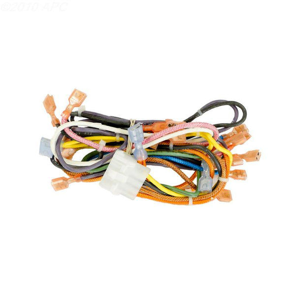 Wire Harness, Main DS - Yardandpool.com