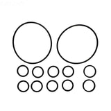 O-Ring Kit, includes Par Rings, Lid O-Rings, Diverter O-Rings - Yardandpool.com