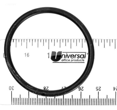 O-Ring, Large - Yardandpool.com