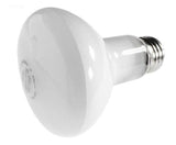 100W 120V Reflector Flood bulb, screw-in - Yardandpool.com