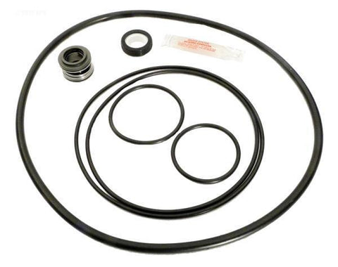 Pump Repair Kit w/Seals, O-Rings after 1995 - Yardandpool.com