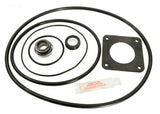 O-Ring & Gasket Kit. Includes 1 each #10, 11, 18, 22 & Volute O-Ring - Yardandpool.com