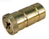 Cantar | GLI Safety Cover Threaded Brass Anchor - Yardandpool.com