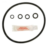 O-Ring & Gasket Kit - Yardandpool.com