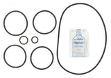 O-Ring & Gasket Kit - Yardandpool.com