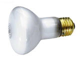 Replacement Lamp Kit 60W 120V - Yardandpool.com