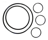 O-Ring Kit, All O-Rings on Strainer and Filter - Yardandpool.com