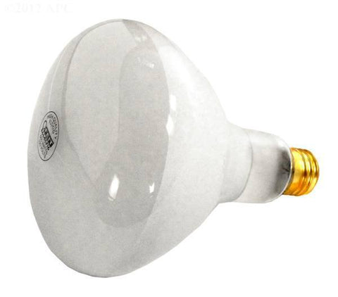 500W 120V Reflector Flood bulb, screw-in - Yardandpool.com